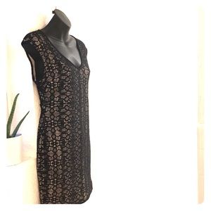 Black & nude open back  lace mini dress